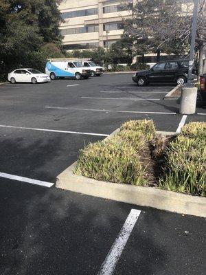 Parking lot in back