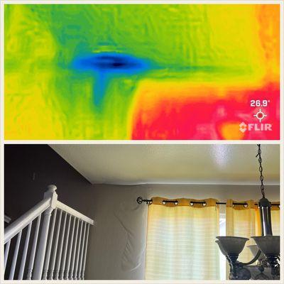 Infrared imaging allows me to quickly detect leaks behind walls.