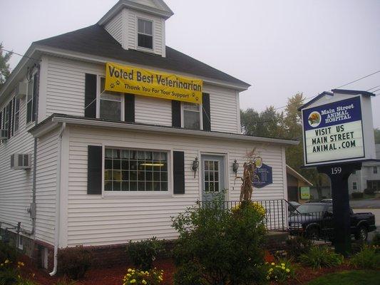 Main Street Animal Hospital