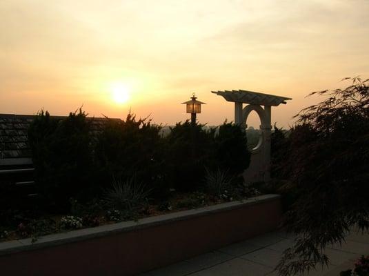 Rooftop Garden at Sunset