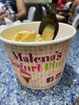 Malena's Yogurt Plus