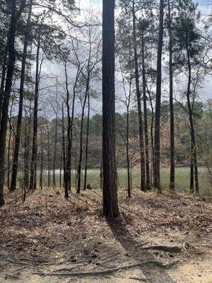 A shot of the lake from our lot