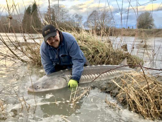 Pete with a nice 7' sturgeon