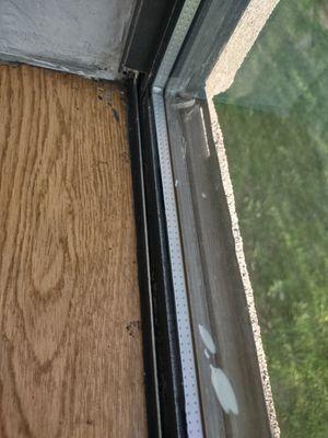 Crusty stuff on window