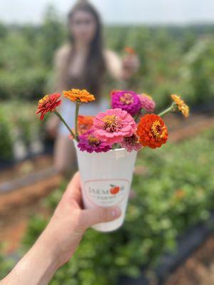 Flower picking