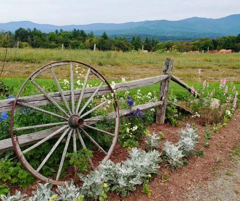 On the farm at Von Trapp - (9/2/2021)