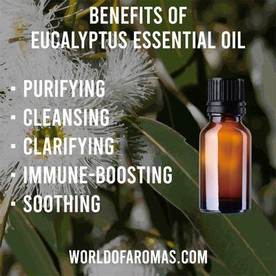 Benefits of Eucalyptus Essential Oil