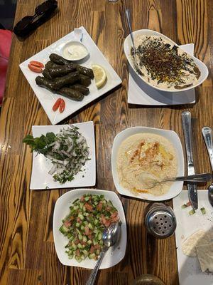 Eggplant delight, hummus, dolhem, shirazi salad