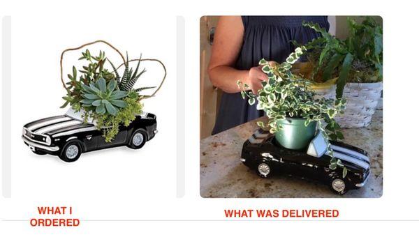 What I ordered vs. what was delivered