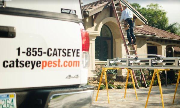 Cat-Guard Exclusion Systems are a permanent exclusion feature that protects homes and other structures from nuisance wildlife.