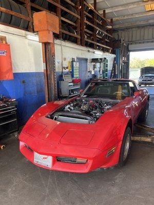 Project Corvette