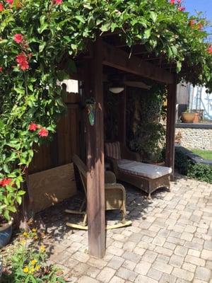 The pergola covered with a beautiful trumpet vine.