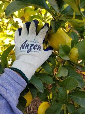 I love using my Anzen gardening gloves.  Great fit and quality!  Happy to support local businesses and people like Nori-San.