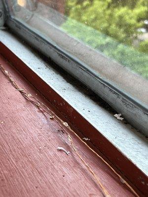 Dirt on the table and windowsill.