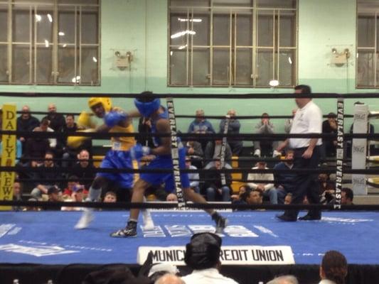 Tristin Johnson in blue, representing EQBC during the Golden Gloves 2-20-15