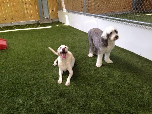 A senior couple enjoying some time together in the daycare yards.