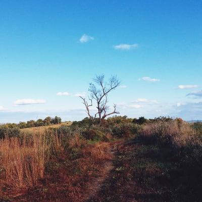 Mountain biking at Trexler Nature Preserve