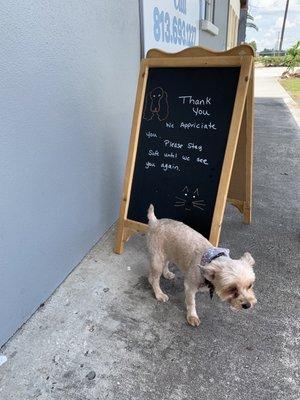 Thank you sign - so cute!