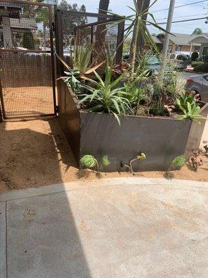 Gated and fenced upper portion of zen garden above street-level multi-level steel cacti/succulent garden planter.