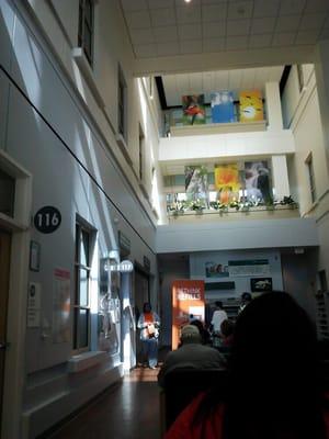 Skyview pharmacy has such a nice atrium that really is defined by sunshine hospital