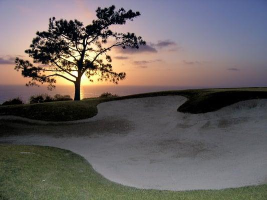 Torrey Pines Golf Course