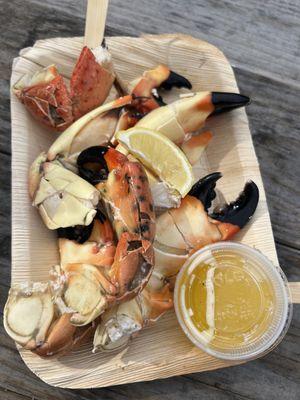 Medium stone crab