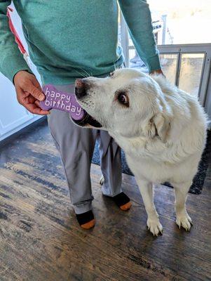 Tail Waggin' Pet Stop