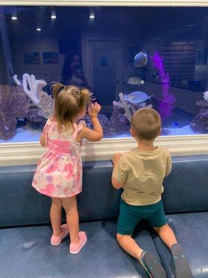 Waiting area with beautiful fish tank