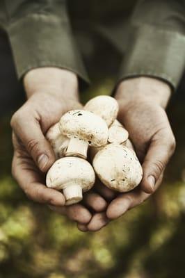 Ingredient driven menus