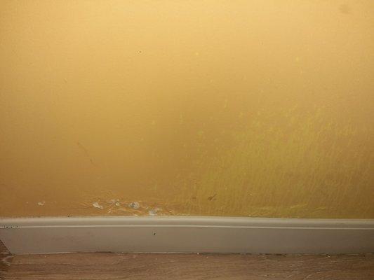 Peeling paint and faded paint by baseboard in bathroom