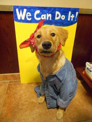 Every October we have a Halloween costume contest. Maybe your pet will win this year!