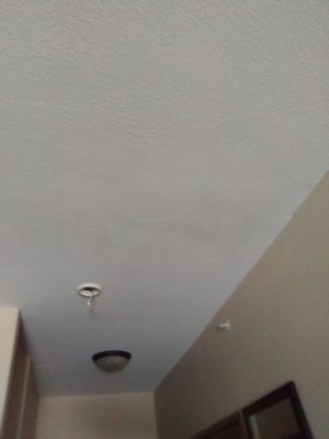 Ceiling repair after leak in roof