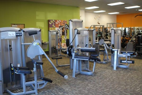 Great selection of weight machines and free weights.