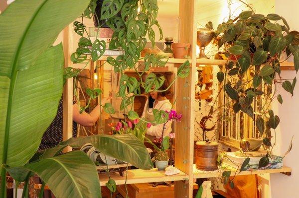 Inside the plant store