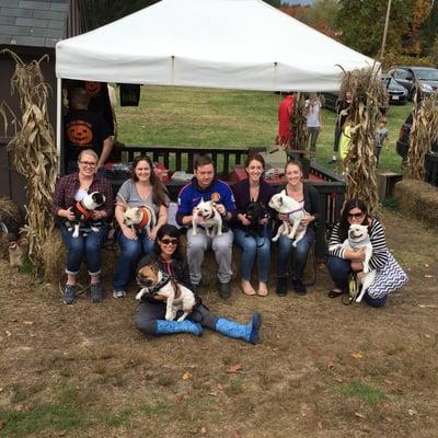 Perfect place for a little French Bulldog meetup!