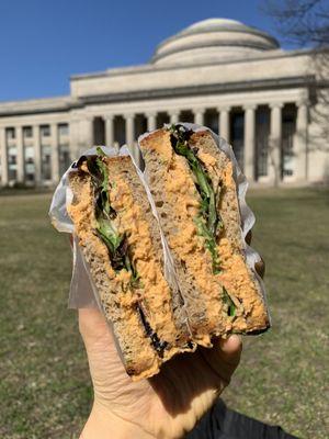 Roasted Red Pepper Hummus Sandwich