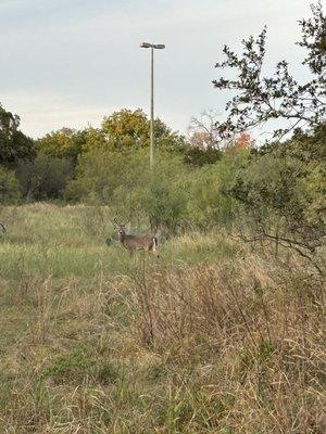 Walker Ranch Historic Landmark Park