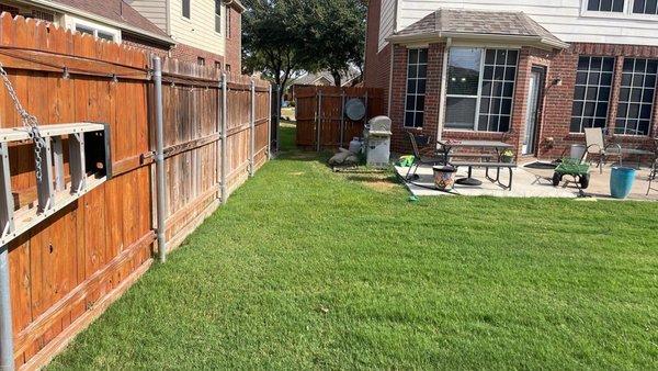 In Grapevine and wish your lawn looked this good? Call 817-684-4044 for unmatched weed control services by Green Top Lawn Care.