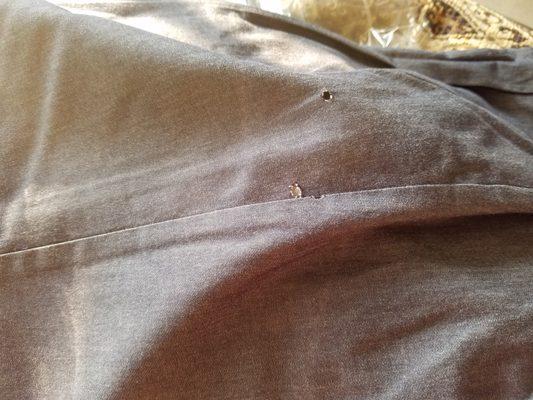 Two burnt holes on the other side of the pants.