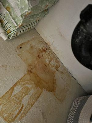 Water leak, corroded pipes