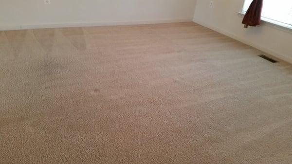 On Time Hjouse & Carpet Cleaning Service