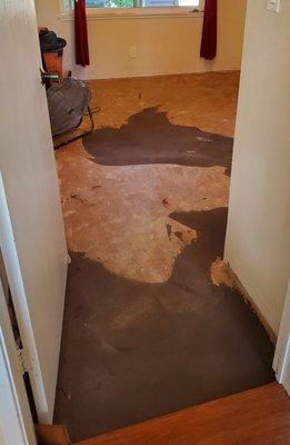 Subfloor prep