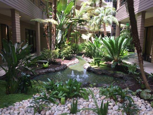 The wonderful courtyard inside my building.