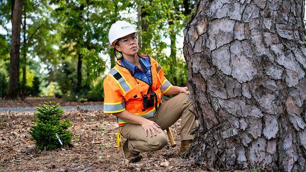 Bartlett Tree Experts - Lebanon