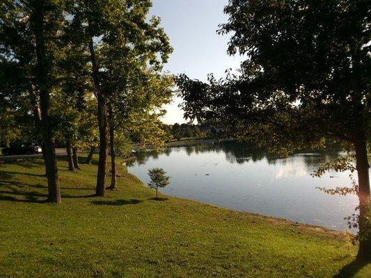 At the park in the evening.