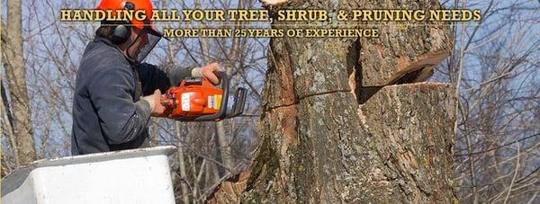 North Haledon Tree Service