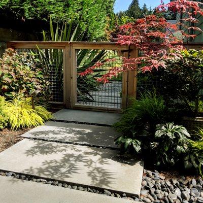 Hogwire Gate with Cedar Frame.  Path of Smooth Pre-Cast Concrete Pavers.