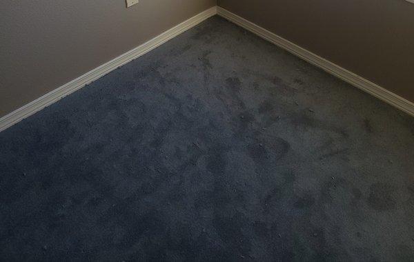 BCC Carpet Sales & Installation