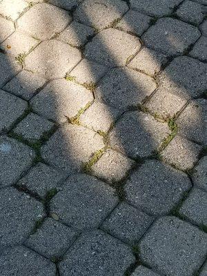 SNS Pavers