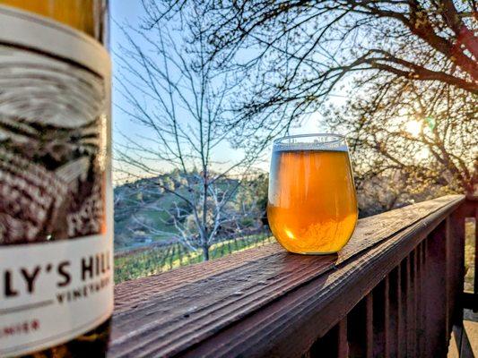 Holly's Hill Vineyards & Brewery